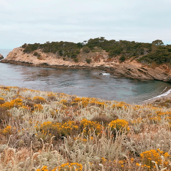 Meet your Posher, Samantha - Picture 1 of 1